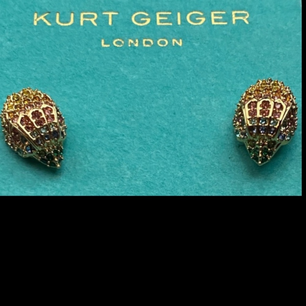 Kurt Geiger Silver Earrings